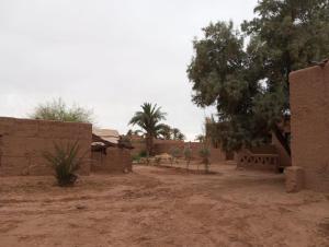 La Maison-Berbère Mhamid Desert Tours