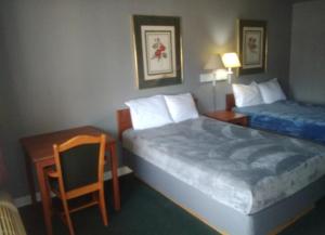 King Bed Hotel Studio 101