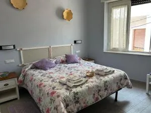 B&B Babay - 古斯皮尼