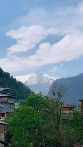 Hostello Manali
