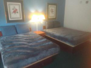 King Bed Hotel Studio 102