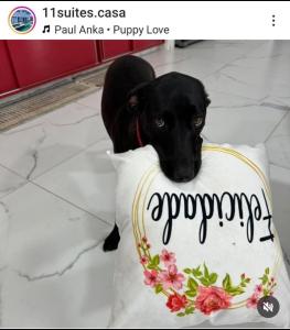 11suites casa Suite #2