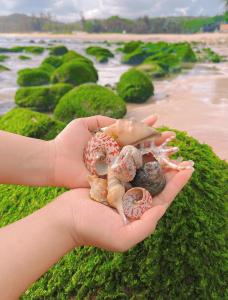 Santa Fe House - Gành Đá Đĩa