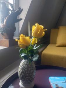 Slapen bij de molenaar