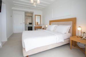 Superior Double or Twin Room room in Lefko Hotel & Apartments
