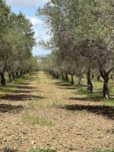 La Gallinaia room with bathroom