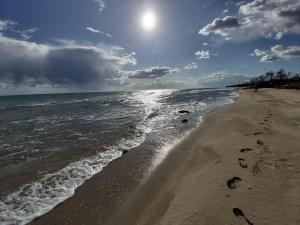 Villetta a schiera su due livelli con giardino