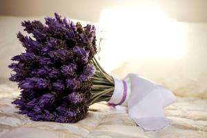 Corfu Lavender