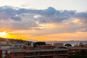 YourHome - Olly House