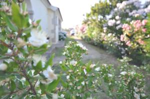 Villette Via Carbonia img19