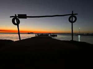 Summerland Beachfront Retreat Dogs welcome - Leeman