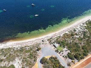 Summerland Beachfront Retreat Dogs welcome