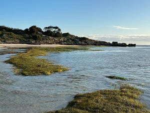 Summerland Beachfront Retreat Dogs welcome