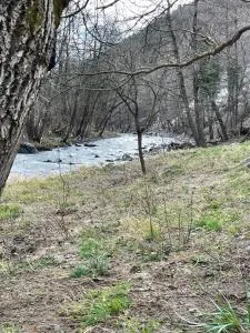 Borjak vikendica - Kamenica