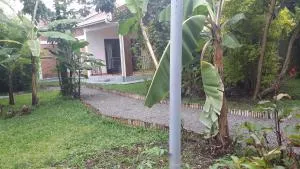 Mist Stay Inn - 卡巴莱