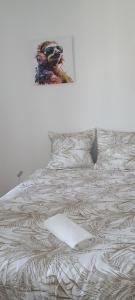 Comfortable 1 bd apt