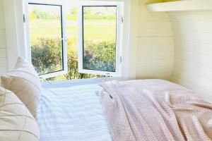 Solo Glamping Pod - Sleeps 4 - Northumberland
