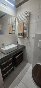 Wilda, centrum, duży apartament z garażem