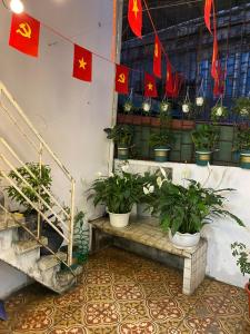 Niah Cozy Home - Hang Gai