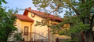 Rigó Nyaralóház - 基什孔弗莱吉哈佐