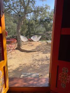 B&B / Chambres d'hotes Au Soleil Mongol : photos des chambres