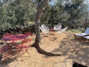 B&B / Chambres d'hotes Au Soleil Mongol : photos des chambres