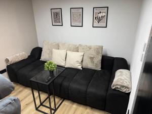 Tiny House am See Dillich - Hunde willkommen - Eigener eingezäunter Garten - Ruhige Lage - Klima