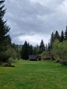 Koča v gozdu, Forest house near Bled