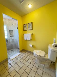 Girasol Maximilian en la Playa Sandy Beach