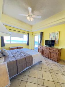 Girasol Maximilian en la Playa Sandy Beach