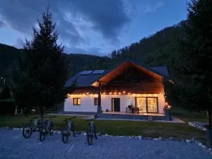 Artizan Chalet - 辛西斯