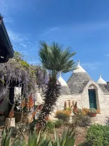 Trullo la glycine - Villa Castelli