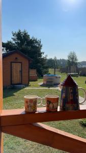 Domek z sauną i balią w Borach tucholskich