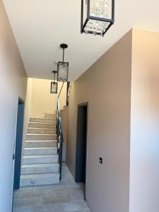 Elbe6 - 5 Sterne Apartments