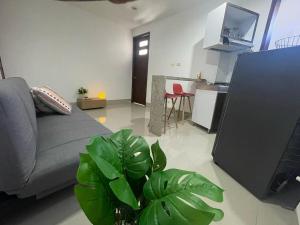 Excelente apartaestudio