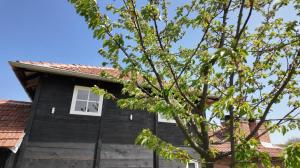 MILOSEV KONAk kuća na jezeru