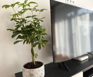 Lazdyneliu Vingis Vilnius "Good Choice" Apartment - Self check-in