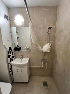 Studio Apartment in Airport Area