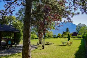 Chalets Chalet Edelweiss : photos des chambres