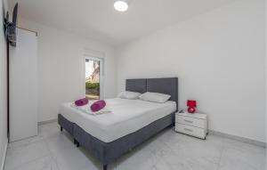 Awesome Home In Povljana With Wifi 