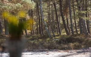 Stunning Home In Nexø With Wifi