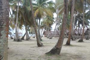 isla de san blas