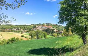 Pet Friendly Apartment