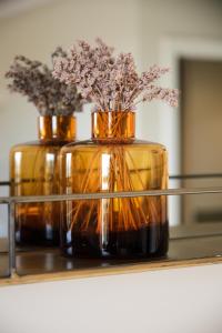 Appartements Studio standing - Village Lumio : photos des chambres