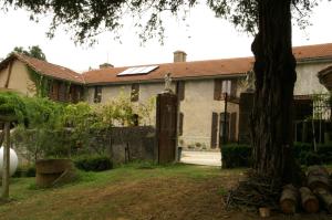 Sous la Glycine photo 12