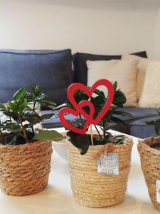 Gîte 4 personnes et 1 bébé avec vue proche de Durbuy - La Roche - 2 terrasses et jardin - Parking gratuit 2 voitures