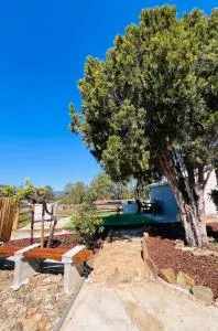 MirakostaCB - Castelo Branco