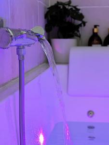 Maisons de vacances Dependance avec balneotherapie : photos des chambres