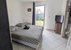 Appartements Les Jardins de Monteglin - F2 avec jardin : photos des chambres
