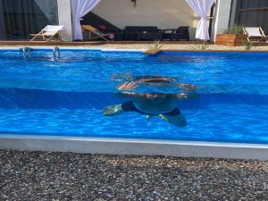 Holiday Home in winouj cie with Pool